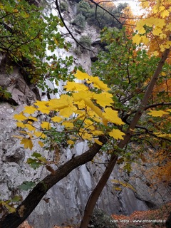 qua Rocca19-11-2017 12-24-23